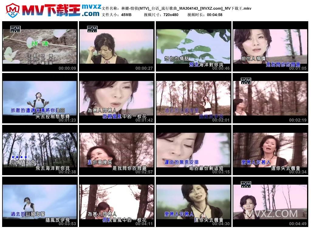 林姗-情债(MTV)_台语_流行歌曲_MA304143